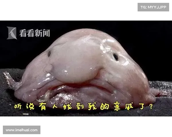 冰鳞蓝鱼濒危现状分析及保护挑战与应对策略探讨 冰鳞蓝鱼濒危现状分析及保护挑战与应对策略探讨