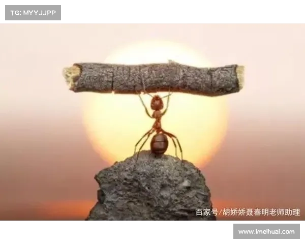 打破传统束缚的五大成功秘诀:如何突破常规,实现个人与事业的飞跃 打破传统束缚的五大成功秘诀:如何突破常规,实现个人与事业的飞跃